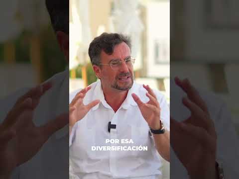 Diversificación: Clave para la Individualización del Producto