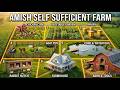11 Animals the Amish Use to Turn 1/2 Acre Into a Self-Sufficient Homestead