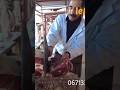 حقيقة الكرشة واللحم مع الجزار موحى عرابي من فم العنصر اكسبلور Food تيك توك نفيسه العريفي لحم 