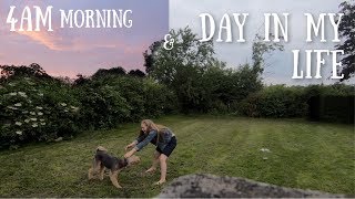 DAY IN MY LIFE & 4am SUNRISE MORNING ROUTINE || productive and wholesome