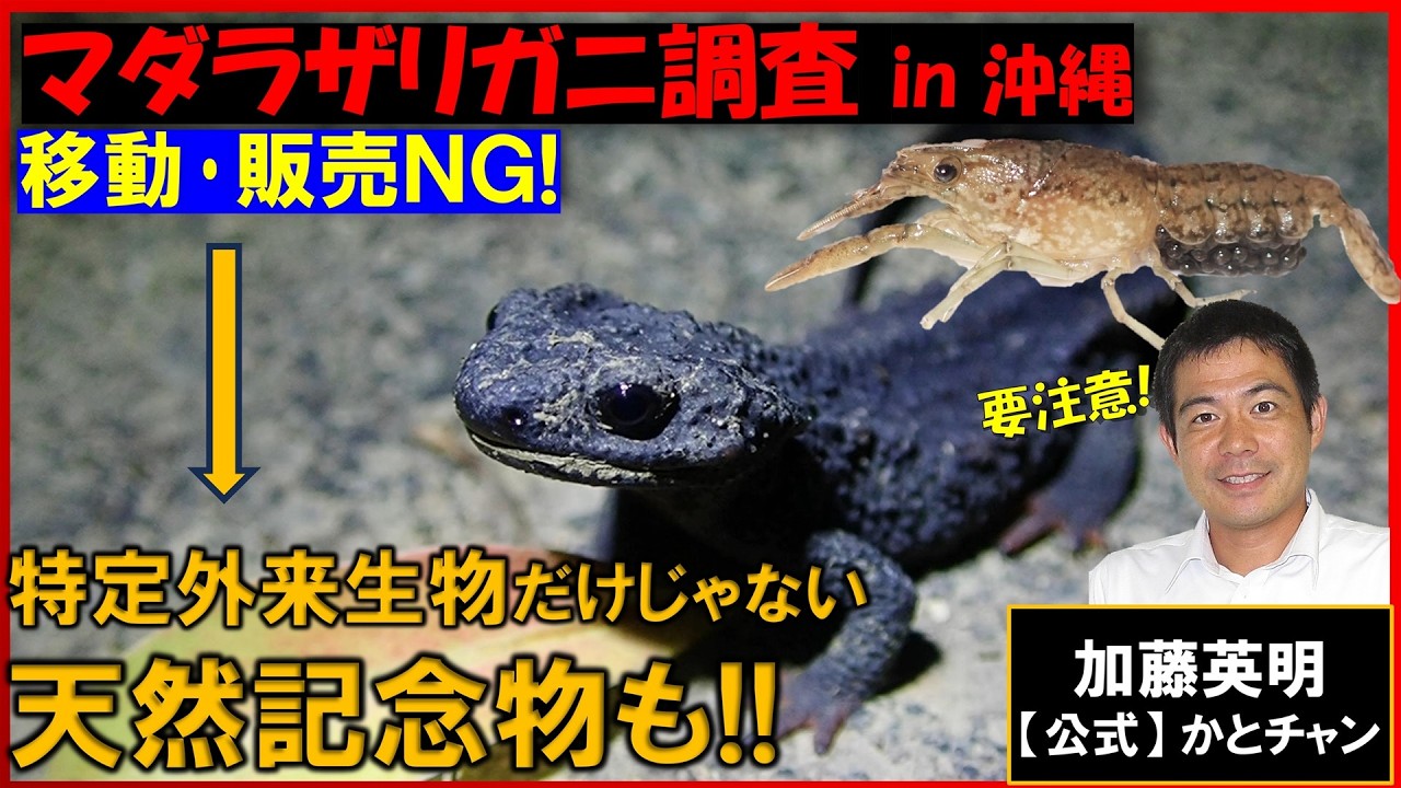 NO Moving or Selling! Not Just Invasive Species, But Natural