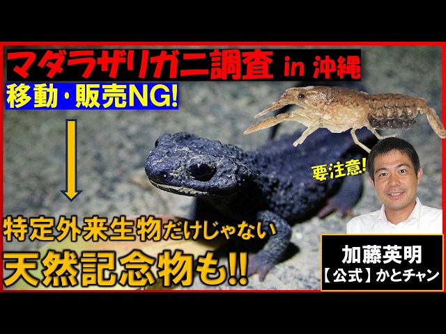 NO Moving or Selling! Not Just Invasive Species, But Natural