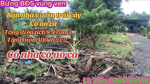Bán đất vườn có Long mạch nước ngầm có thổ cư đại ha giá 