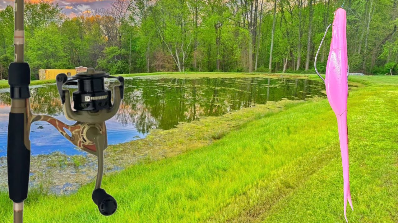 Pink Fluke Bass Fishing Challenge!!