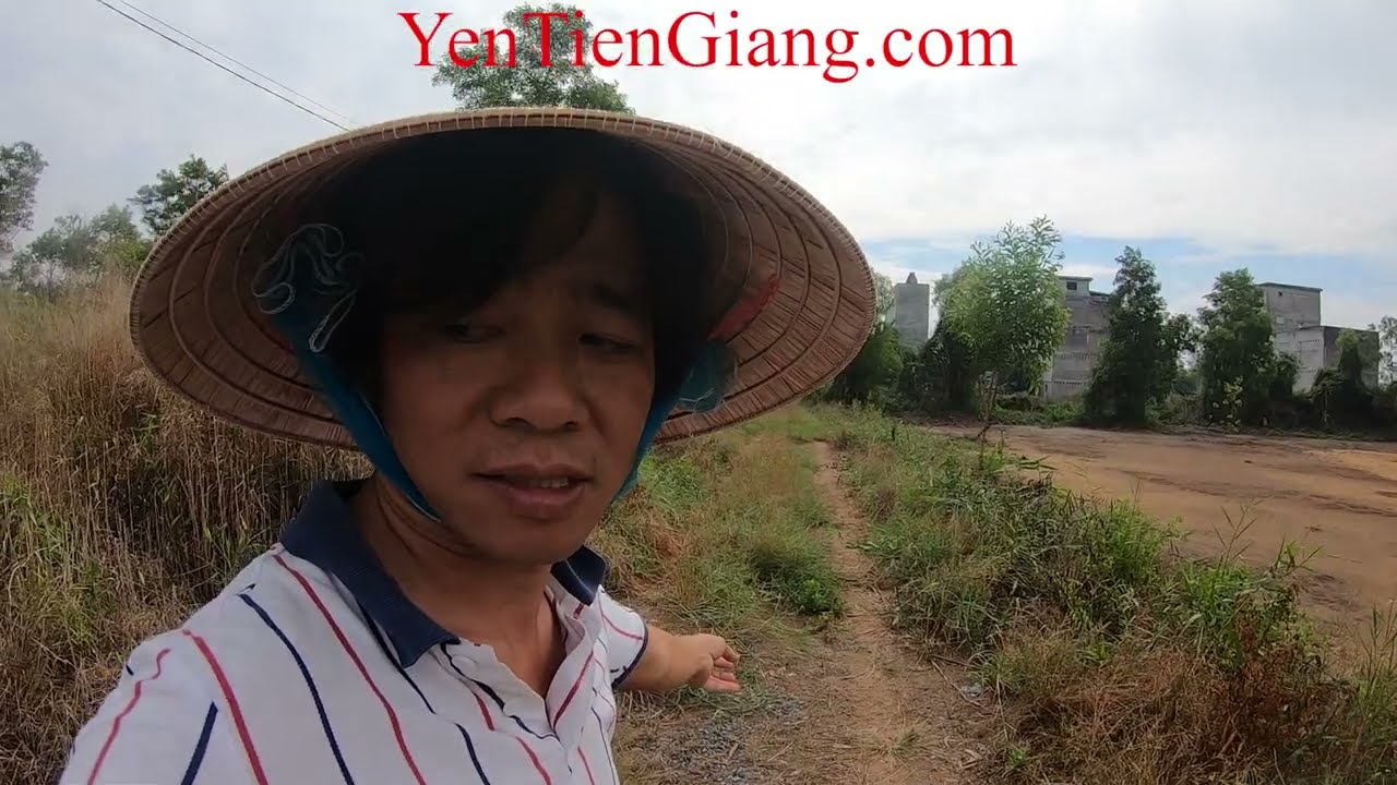 Chim yến ăn gì ? Có nuôi yến nhốt trong chuồng được không ? | YenTienGiang.com - nông trại tổ yến.