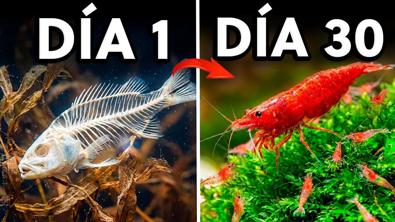 Simulando un Ecosistema de Lago durante 30 Días