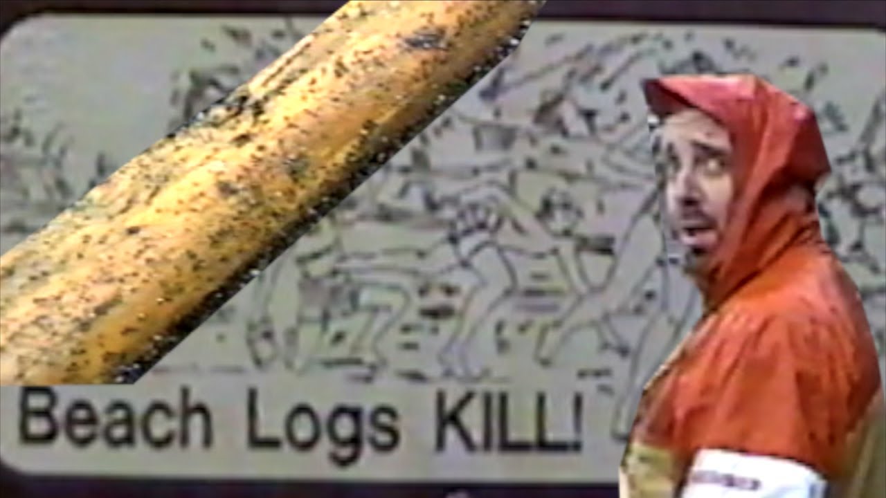 Beach Logs Kill - YouTube