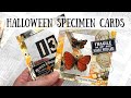 Halloween Specimen Cards | Made from a cereal box