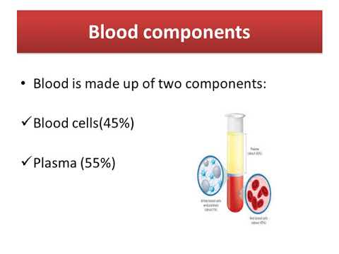 Get Anatomy Of Blood Ppt Final Youtube For Free Wallpaper Anatomy Of Blood Ppt Final Youtube For Android