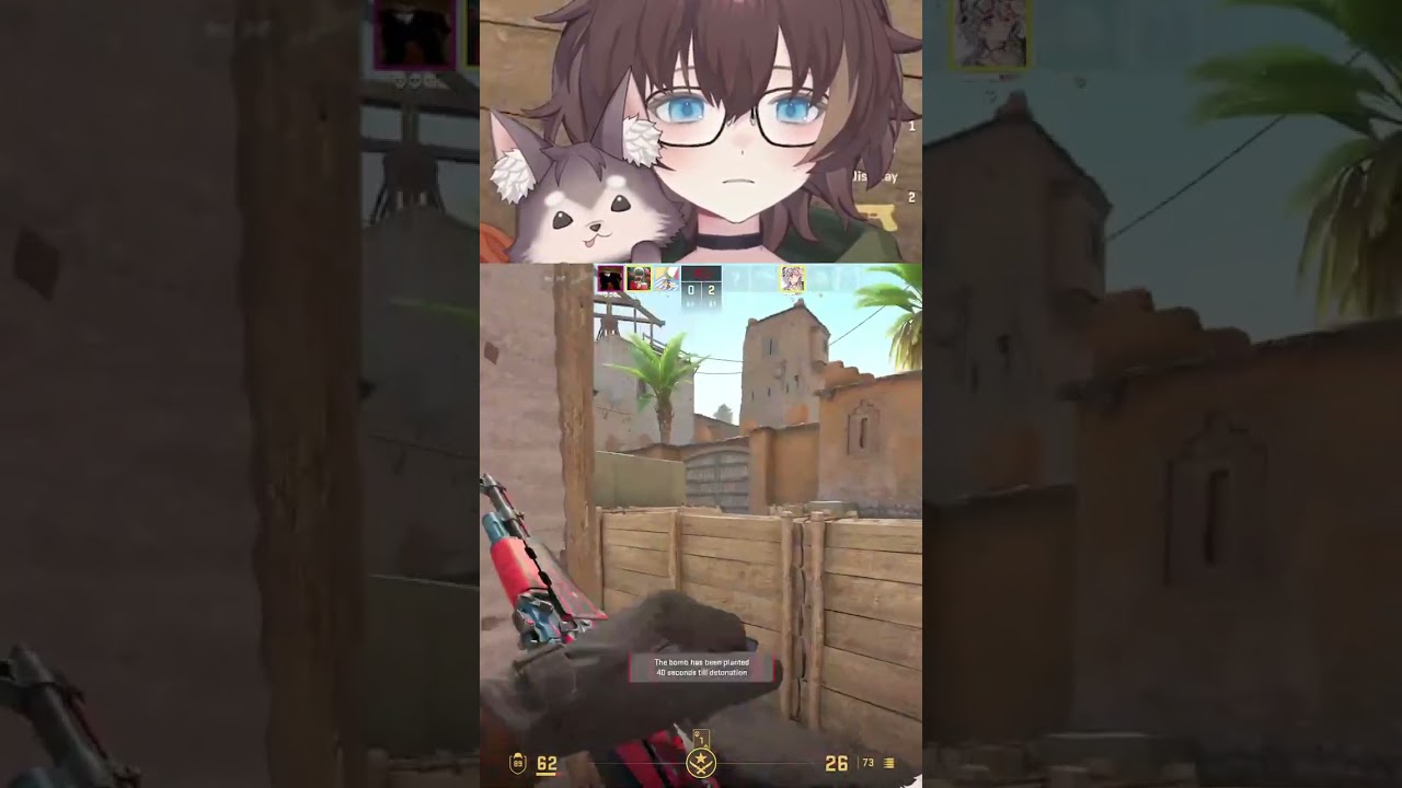 This is never happening again | 