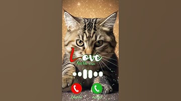 Cat calling funny moment 🥰 #ringtone #smartphone #music #shortvideo #shorts #viralvideo #funny