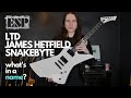 ESP LTD James Hetfield Snakebyte - What's In A Name?