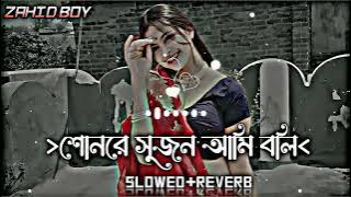 Sonre sujon ami boli je tore   শোনরে সুজন আমি বলি যে তোরে   Slowed Reverb Lofi Song