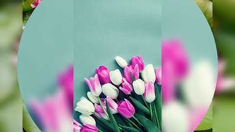 سورة الاخلاص مكررة بصوت الشيخ هزاع البلوشي
