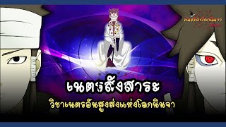 เนตรสังสาระ วิชาเนตรที่สูงส่งในโลกนินจา (Rinnegan) | พันธมิตรนินจา โอ้โฮเฮะ