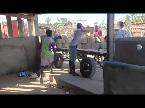 passive income push cart business in Toliara Madagascar