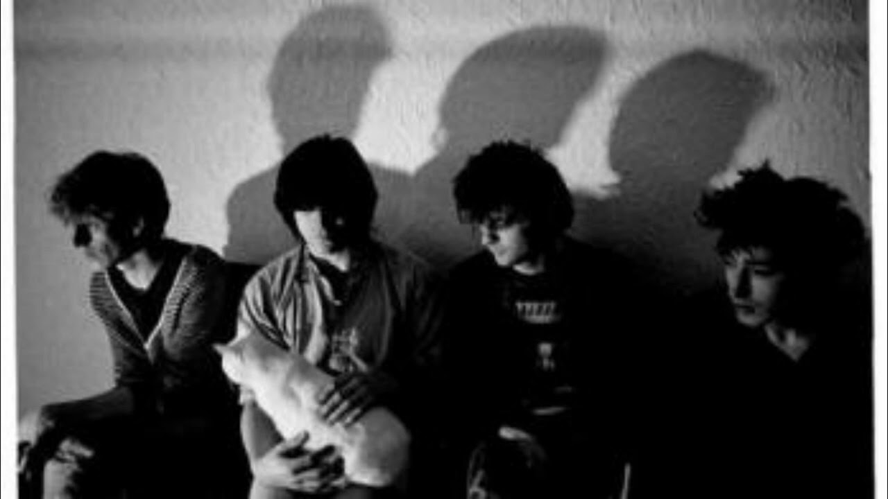 the chameleons  -caution