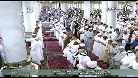 تلاوة جميلة للشيخ صلاح البدير من سورة النمل