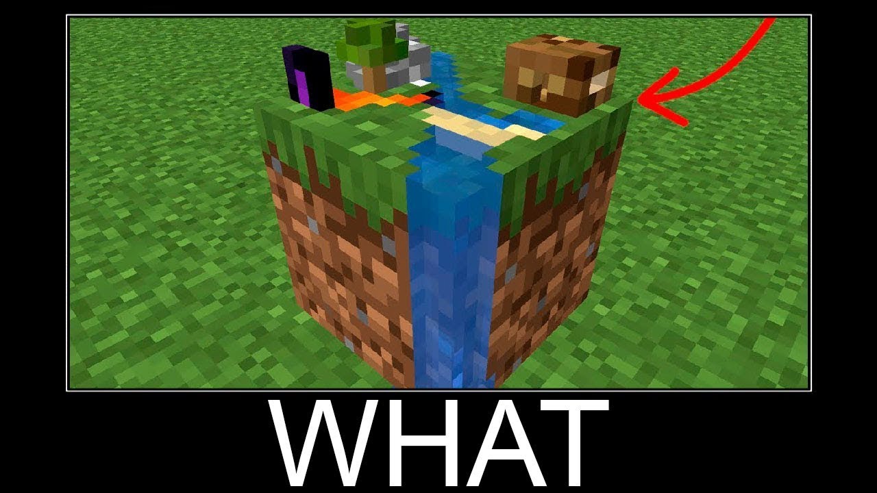 Minecraft WAIT WHAT 