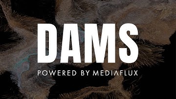 Introducing: Digital Asset Management System Powered by Mediaflux