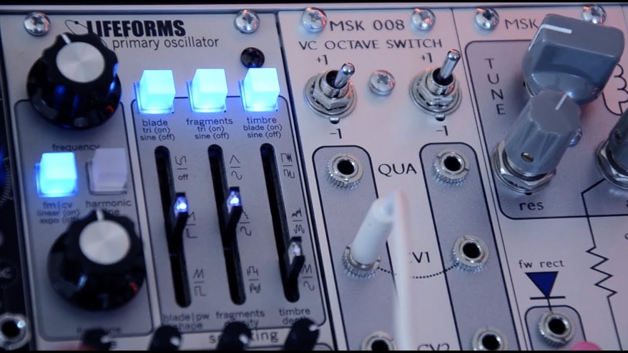 Lifeforms Primary oscillator-Pittsburgh Modular/Coiler MSK009 -North Coast Synthesis