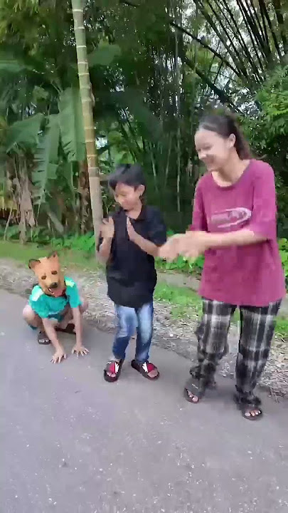 Con chó tài năng được nhận nuôi-Talented dog adopted #shorts