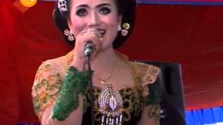 Download lagu birunya cinta cs supra nada live in asri gondang sragen 10 april 2016 birunya cinta cs supra nada live in asri gondang sragen 10 april 2016