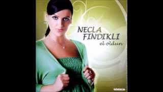 Necla Fındıklı -  Bir Gül Olsan  [] Resimi