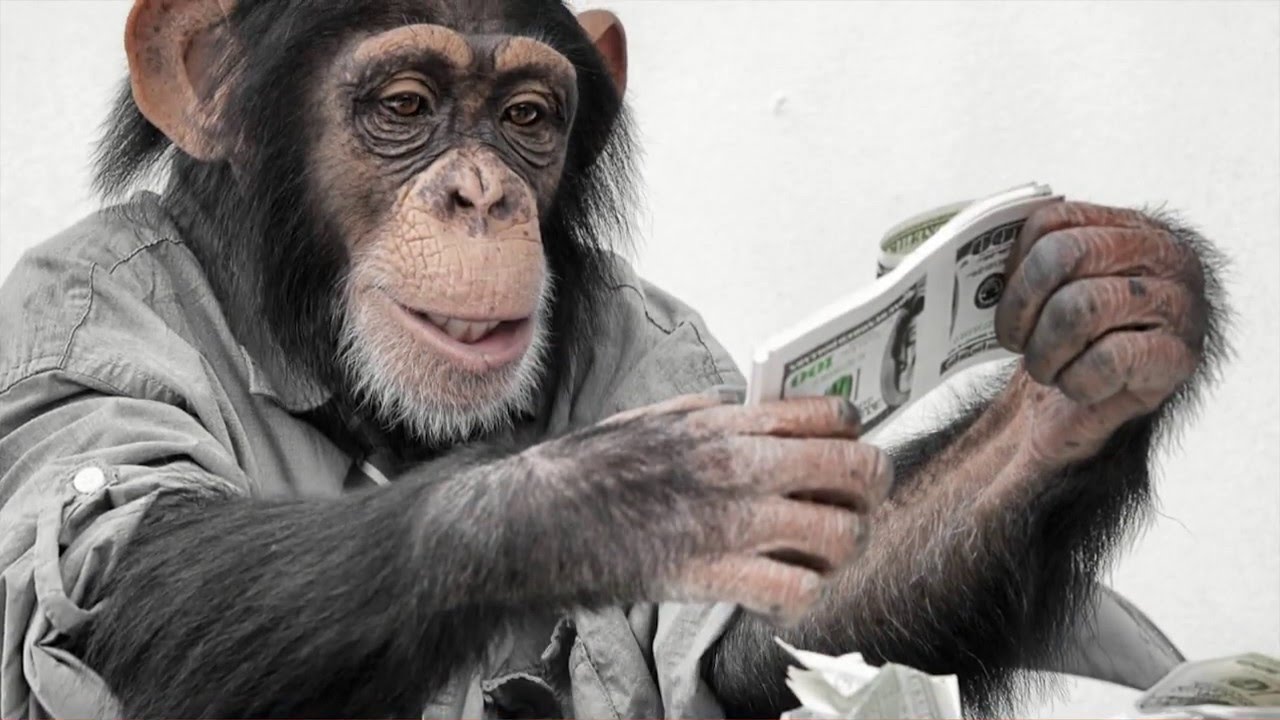 Manfaat Membaca - YouTube