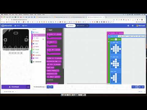 Button Test Using The Blinking Message Program