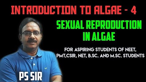 Introduction To Algae (Part-4): Sexual Reproduction | PS Sir| NEET,PMT,B.Sc,M.Sc,CSIR,NET