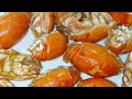 Mencari yutuk atau undur undur laut di pantai untuk di goreng sangat lezat rasanya mirip kepiting