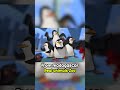 I Built a ZOO for REAL LIFE Animals in Survival Minecraft!
