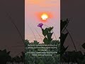 Let's Make Our Wonderful &amp; Beautiful Journey Of Life