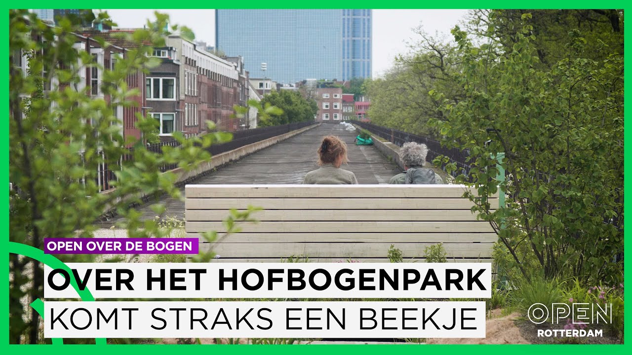 Over het Hofbogenpark komt een beekje dat goed is voor dier én mens | OPEN over de bogen | Afl. 3