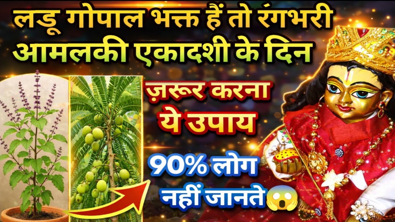 लडडू गोपाल भक्त हैं तो रंगभरी आमलकी एकादशी के दिन ज़रूर करना ये उपाय\ rang bhari ekadashi 2026\ 