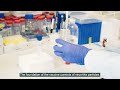 BioPhoT projekts: IC-Vax