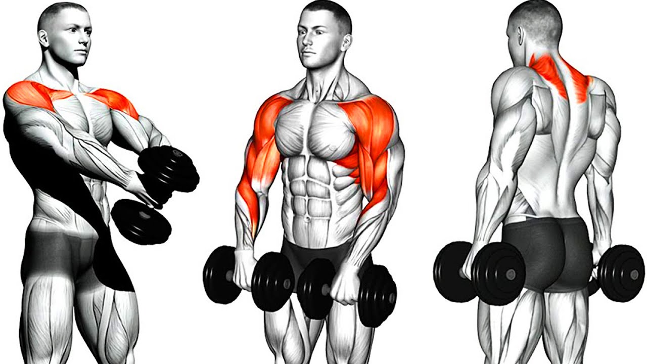 The Perfect 6 Exercises To Build Wide 3D Shoulders💪(Dumbbells Only)