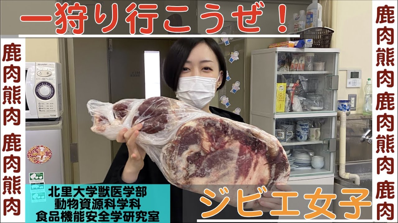 北里大学獣医学部 動物資源科学科】研究紹介 食品機能安全学研究室