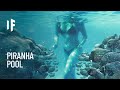 What If You Fell Into a Piranha Pool?