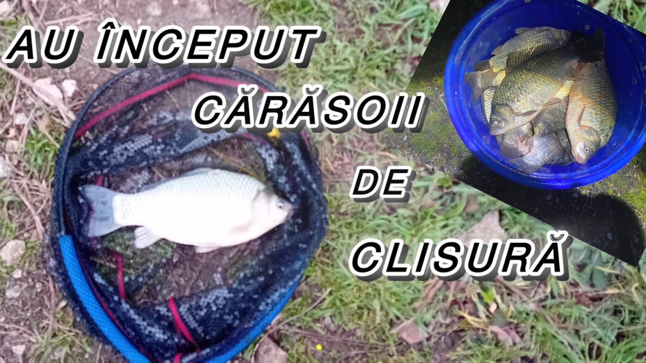 Prima Partida pe Clisură 29 MARTIE 2025 !! AU inceput CARASOZAURII😏🏆😱