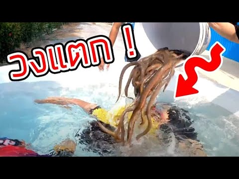 ให้เด็กงมกุ้ง แต่ใส่ “ปลาไหล” ลงไป | เด็กตกปลา