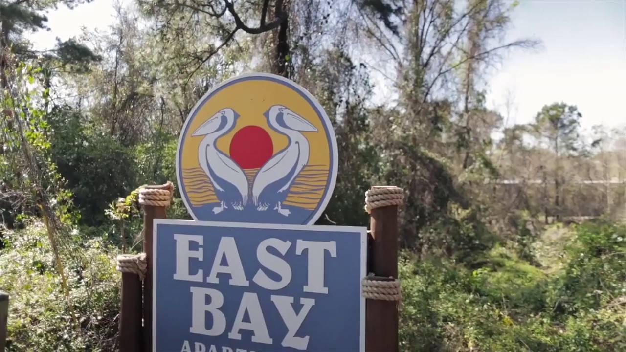 East Bay Apartment Tour 2020