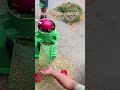 Model 180 feed pellet mill,output 250 kg/h#OrganicFertilizer #YanxiMachinery #machine