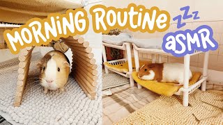 ASMR MORNING ROUTINE W/ 16 GUINEA PIGS