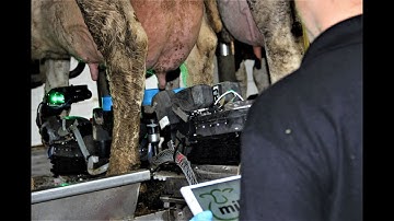 miRobot - Fully Automating The Milking Process | Robot | Milking | Automation