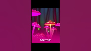 Thumbnail of DANCING SHADOW | NEW SONG BY TANBIR