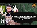 How And WHY Deer Bed Where They Do Buck Bedding Vs Doe Bedding How And WHY Deer Bed Where They Do Buck Bedding Vs Doe Bedding