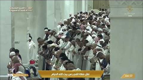 ' سورة النحل ٦٥ - ٨٣ ' الشيخ #ياسر_الدوسري صلاة الفجر  ٢-٢-١٤٤٦ هـ