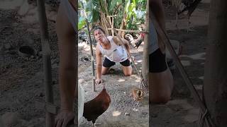 short goodvibes youtubeshorts youtube youtube